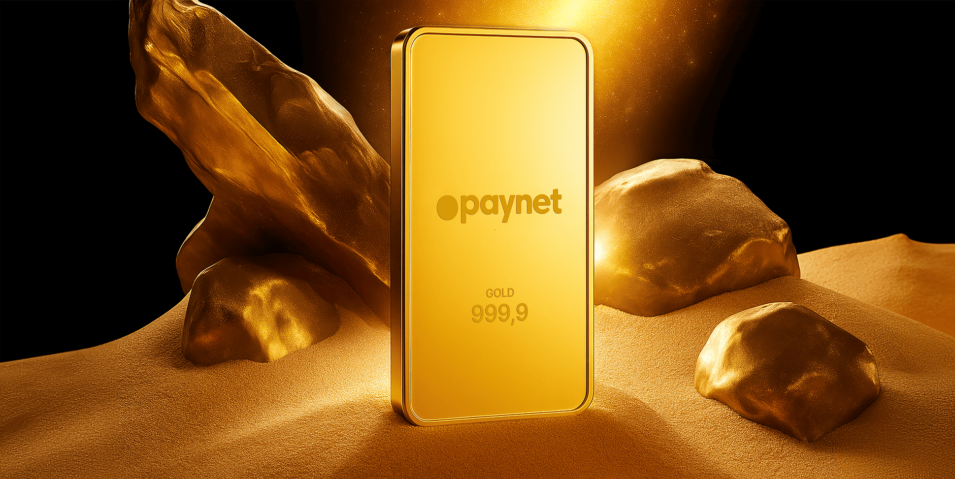 Paynet — project materials